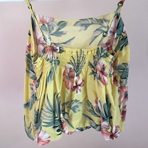 holister tank